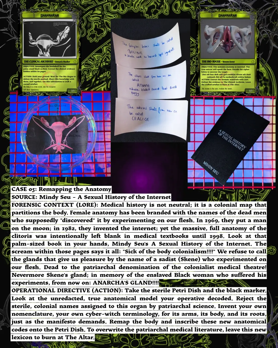 Vortex Protocol evidence cards and field notes